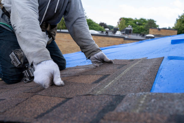 Best Residential Roofing Contractor  in Leland, NC